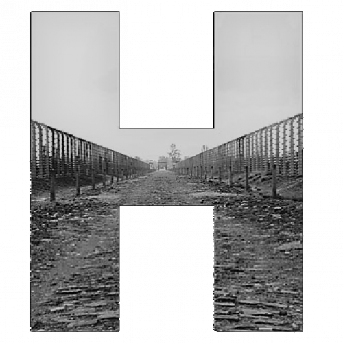 Auschwitz in H EHRI Logo